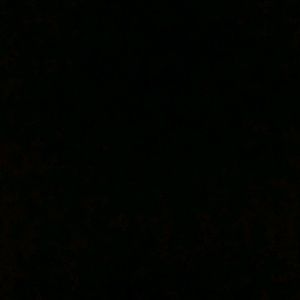 Meet your Posher, Ericka